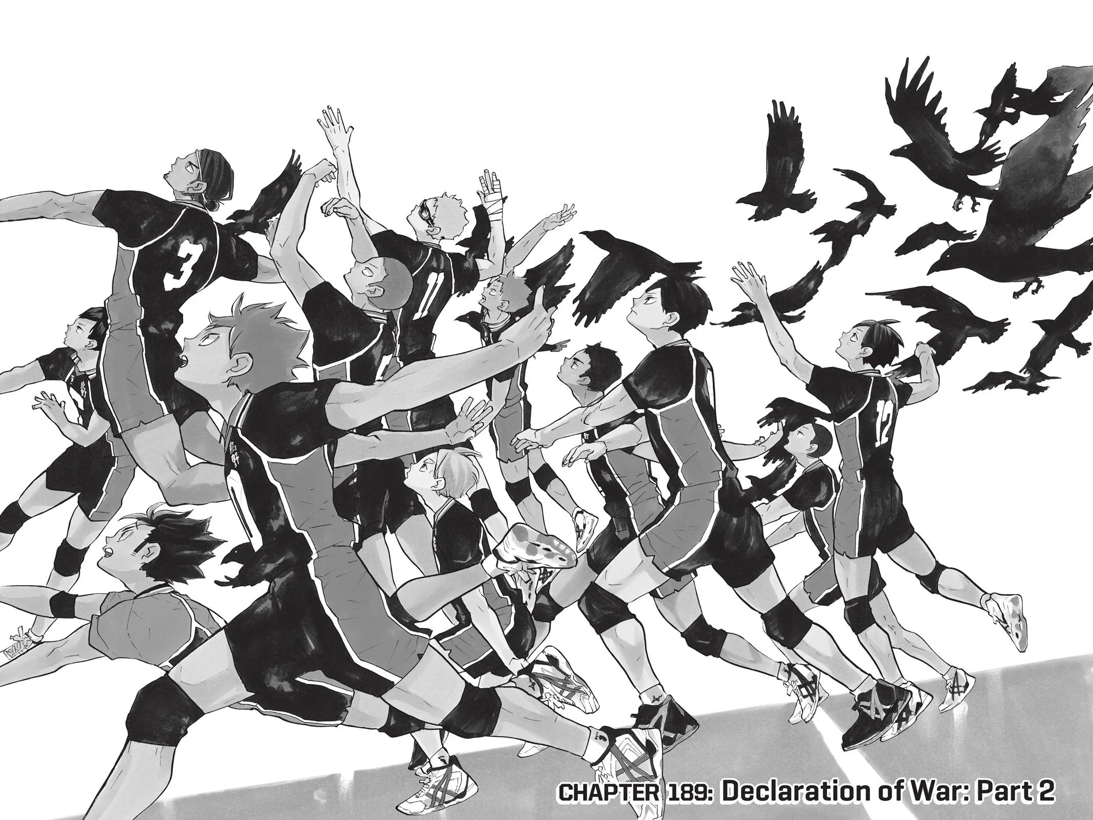 Read Haikyu!! EN Manga Online