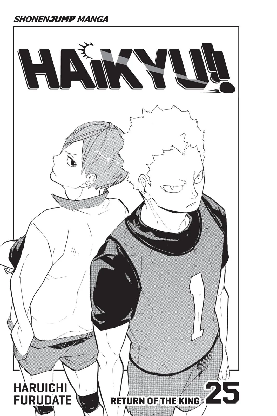 Read Haikyu!! EN Manga Online