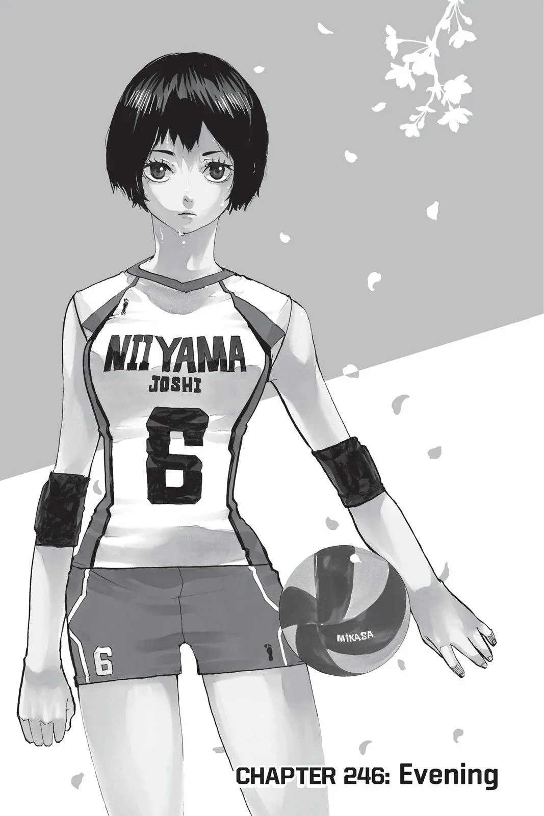 Read Haikyu!! EN Manga Online