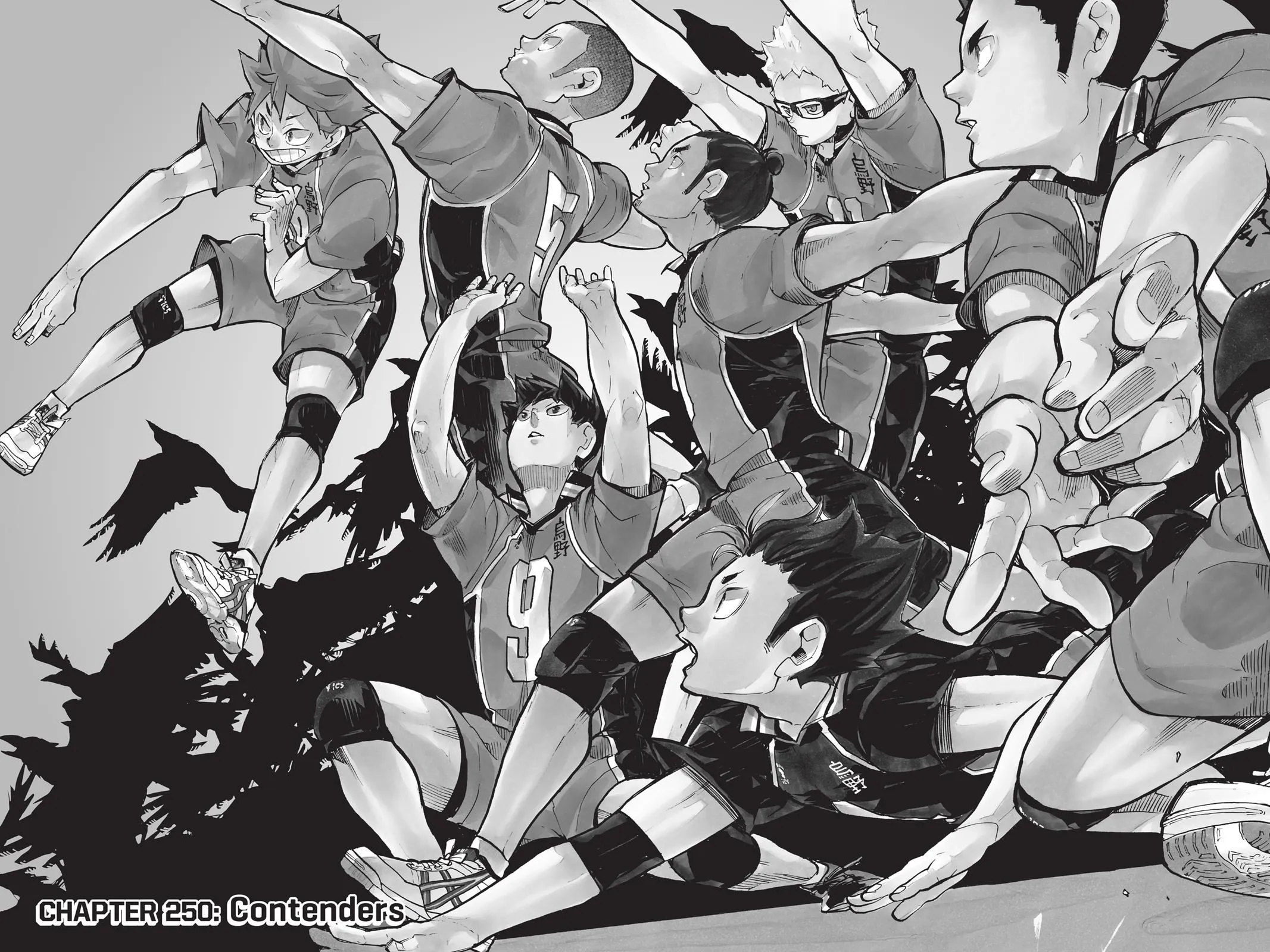Read Haikyu!! EN Manga Online
