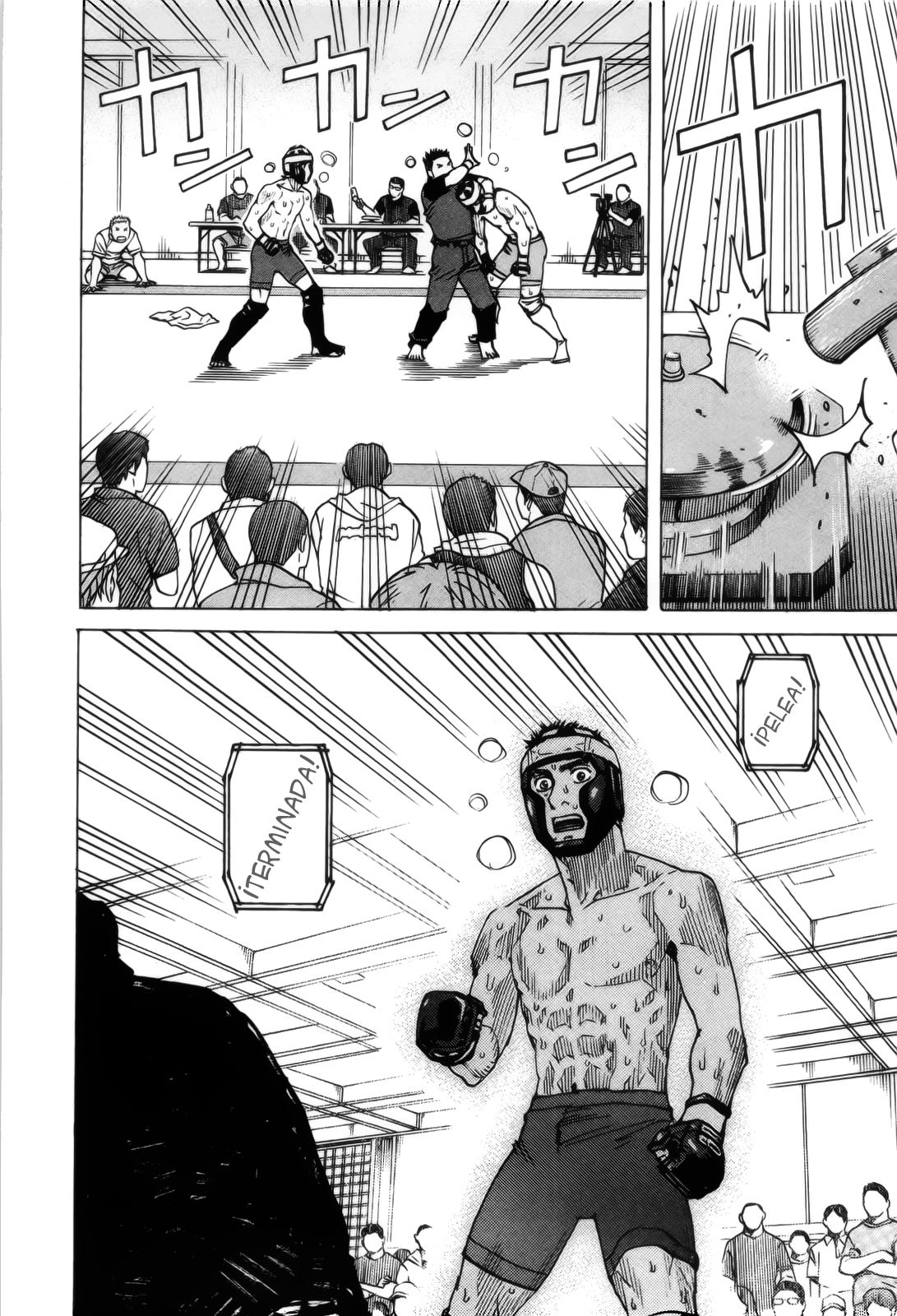 Read All Rounder Meguru ES Manga Online
