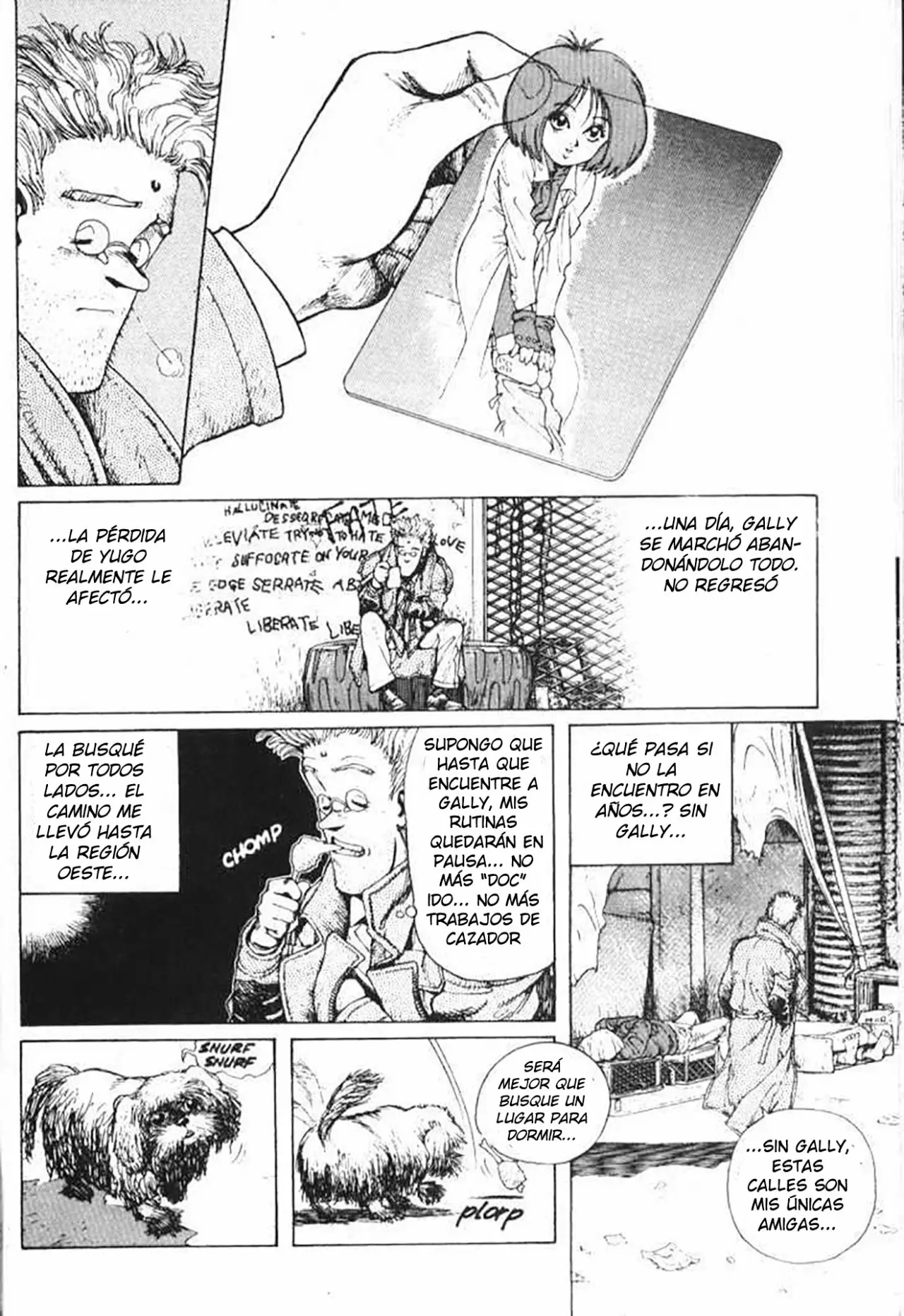Read Battle Angel Alita es Manga Online