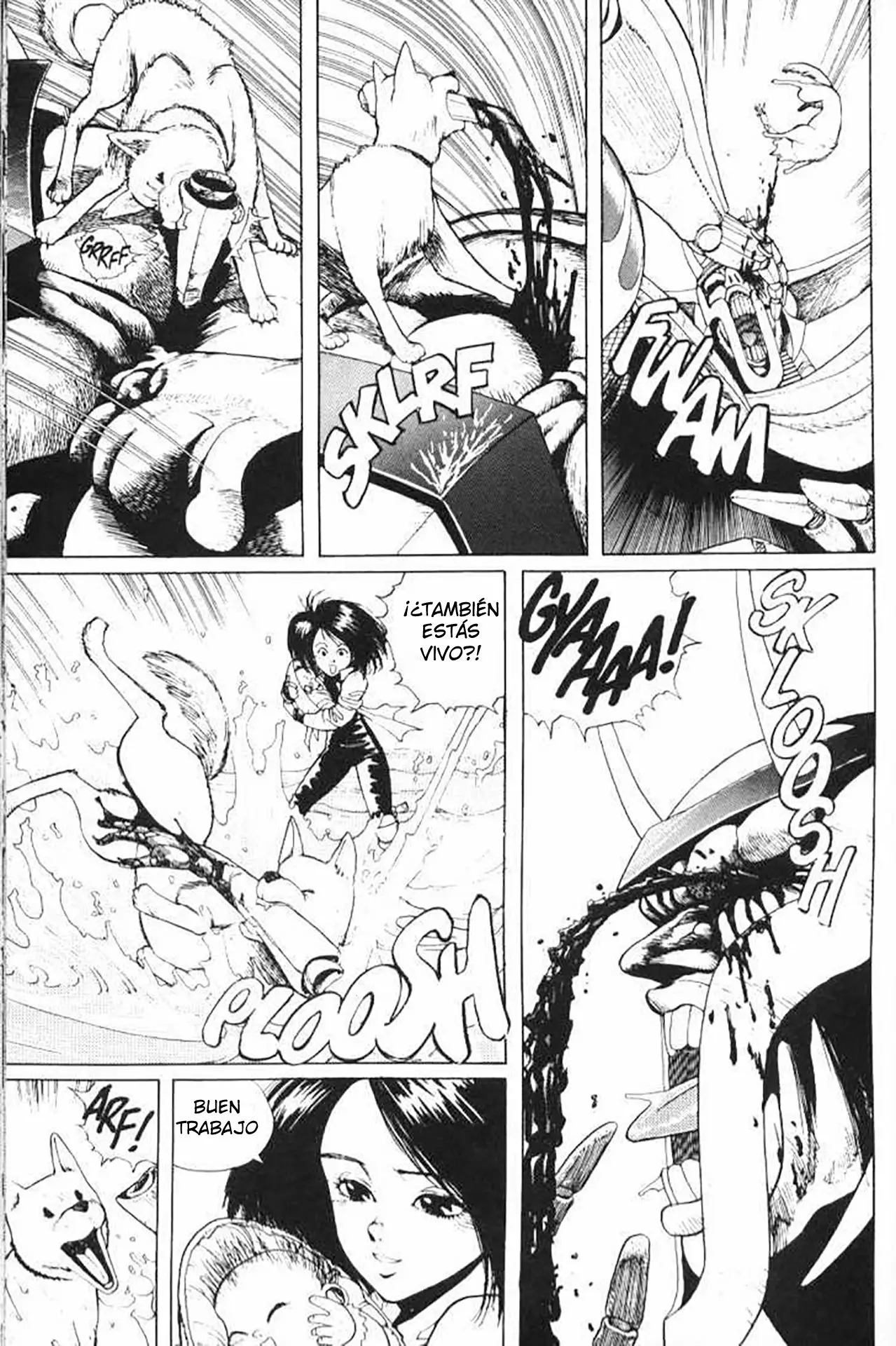Read Battle Angel Alita es Manga Online
