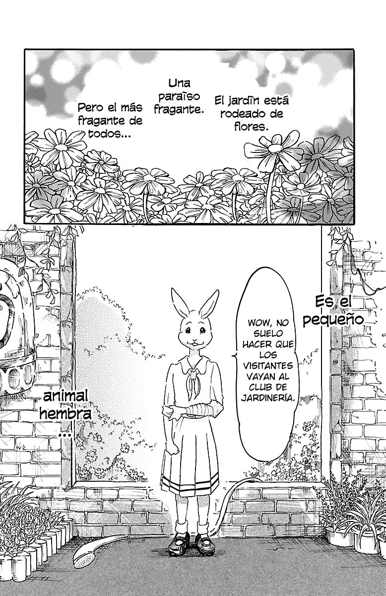 Read Beastars ES Manga Online