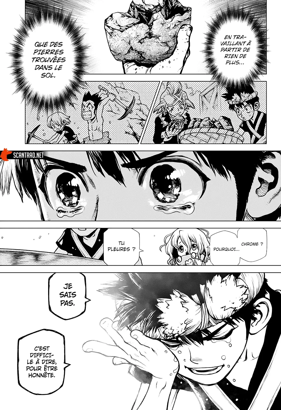 Read Dr. Stone FR Manga Online