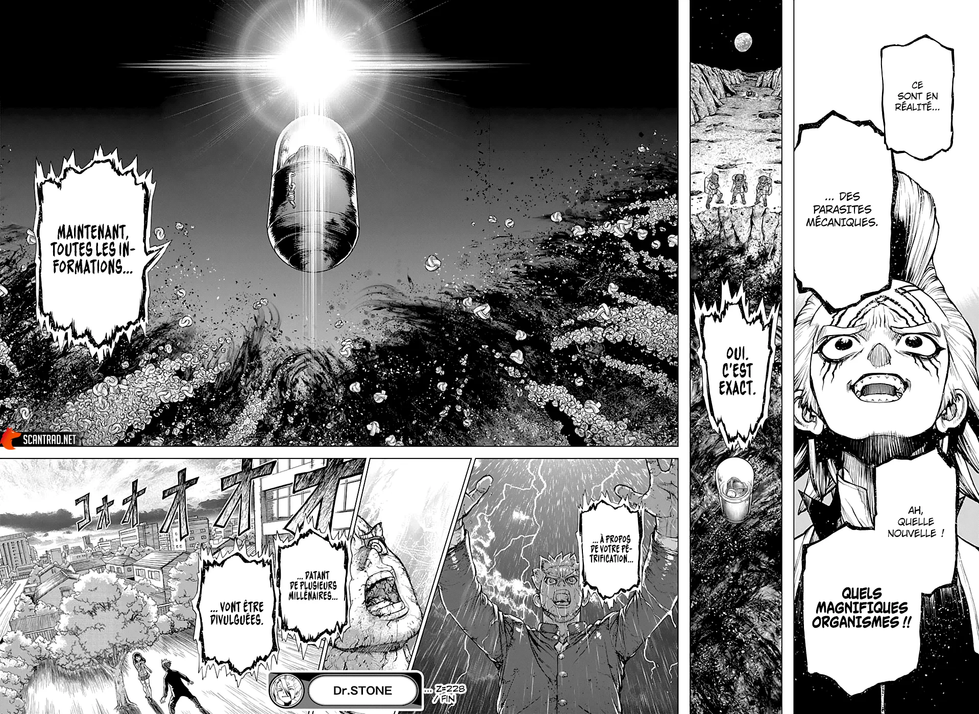 Read Dr. Stone FR Manga Online