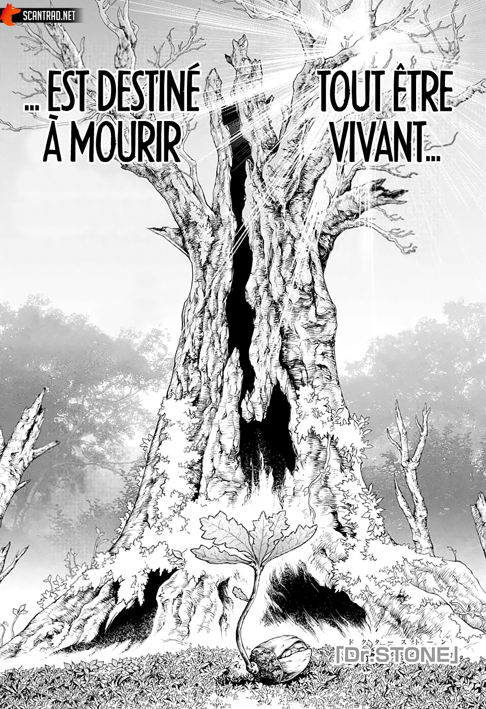 Read Dr. Stone FR Manga Online