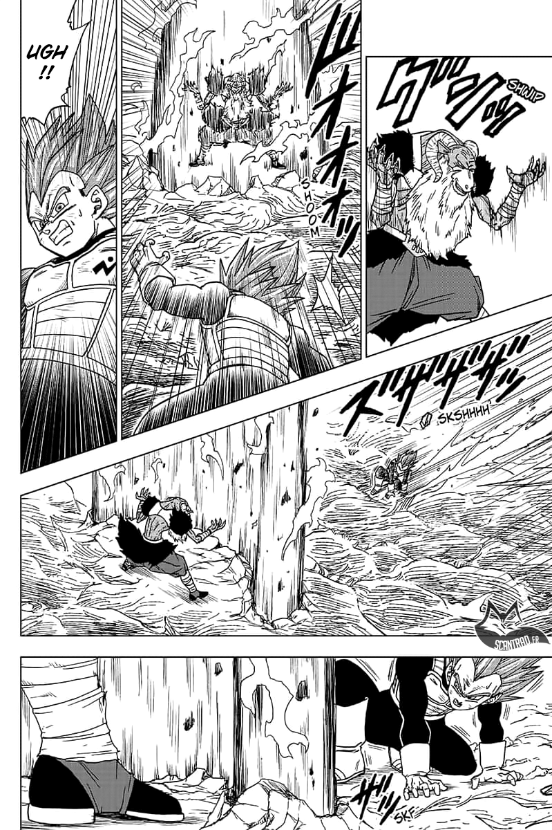Read Dragon Ball Super FR Manga Online