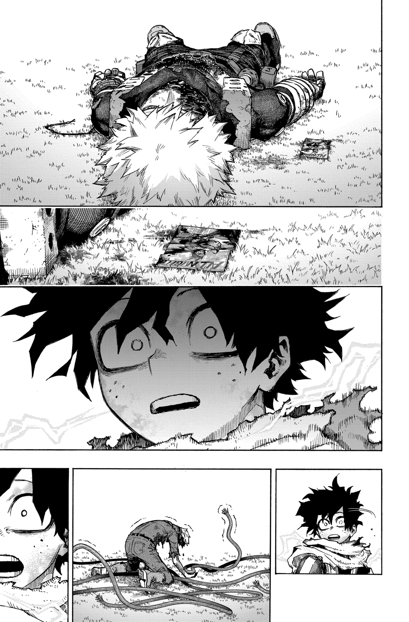 Read My Hero Academia FR Manga Online